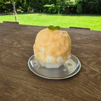 w9R121mY9B22421's profile picture. 