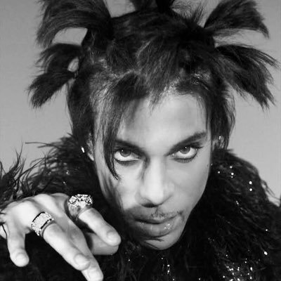 gerdsterr's profile picture. 🇵🇸— SPACE / MARCELINE , ARTIST , GENDERQUEER , PRINCE ENTHUSIAST , VIPERTIGER #1 TRUTHER 🐍🐅