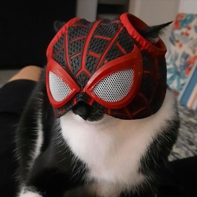 colaate2's profile picture. 