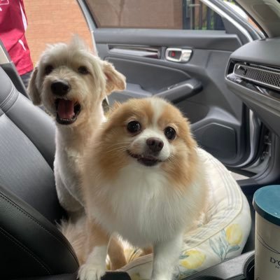 Katelimiu's profile picture. 