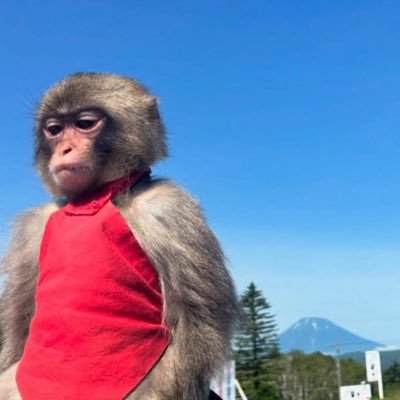 thainets's profile picture. 