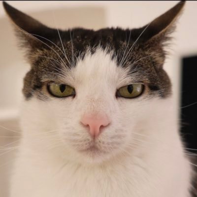 Mavericket785's profile picture. My tweets are NFA | Community builder | 100x Gem finder | DYOR | https://t.co/0fA0jGloF7 | Intern @mavsintern