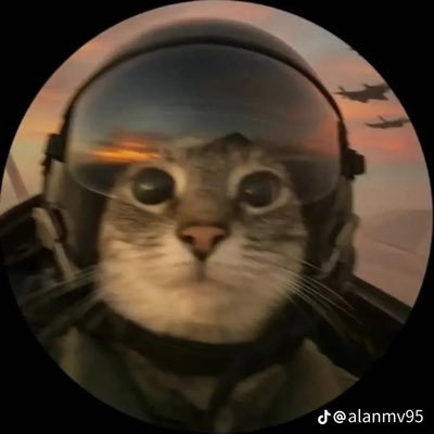 Zq2Jfjintn's profile picture. ｼｬｰ