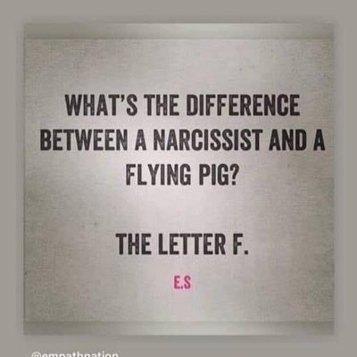 KieraShepherd12's profile picture. Insert pithy description here NO DM’S Left is Best🌊, occasionally bitter, no fakes, no lies 🤢 “your perception of me is a reflection of you”