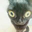 Arthur Reyes - @ReyesArthu38549 - Twitter