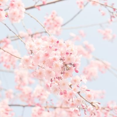 ジャップカサイのできるタイマッサージ店です。嫌がらせによりプレミアムに変更できません。した瞬間凍結されます。