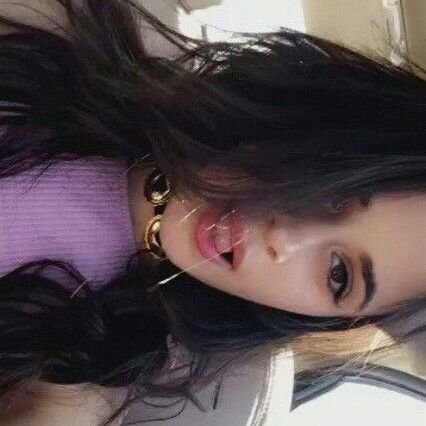 dogjauregay's profile picture. lesb | camren | stalia