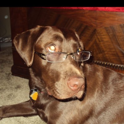 jlh2640's profile picture. You’ll likely find me in Banff, Canmore, Regina, Kelowna  or Hawaii. ;) Flames, Bucs and Riders are my teams. apparently I like to be tormented