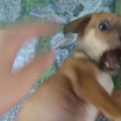 Santzx89's profile picture. 