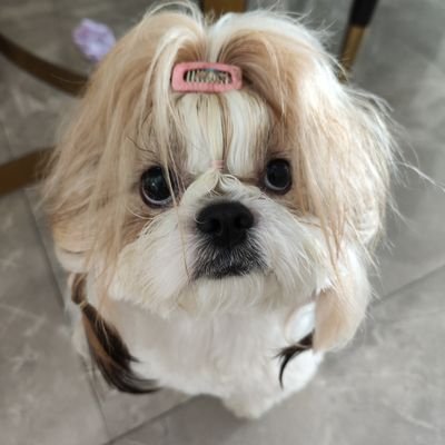 leofire43010159's profile picture. 