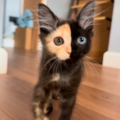 ArturderJunk's profile picture. 