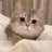 nn_mwp_'s profile image