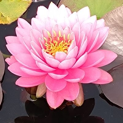 sataticnoise's profile picture. お酒とカレ－と魂を揺さぶられる音楽が好き。