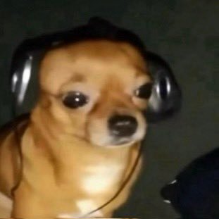 matthew_ru86630's profile picture. 