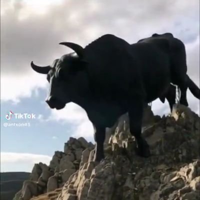 MariloSueira's profile picture. No tolero faltas de respeto, si tienes una idea, la expones y punto. No respondo MD.
