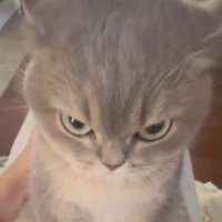 なず (@grr_booo) 's Twitter Profile