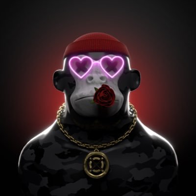 U.S.M.C. $BTC $EGLD $EAPES $XOXNO https://t.co/umcfuT4AyJ