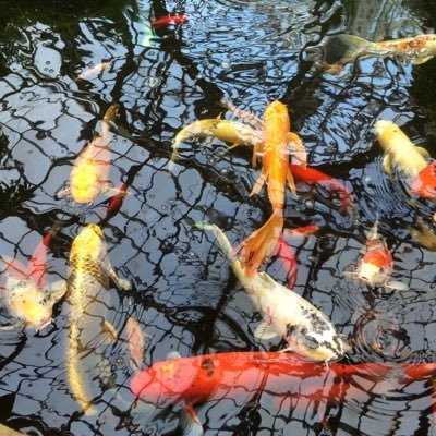 c42056's profile picture. 