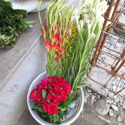 sankar1097721's profile picture. Keyboard ninja. Full-time thinker.