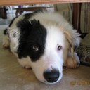 George Bourque - @Grbourq - Twitter