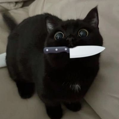 asphodelraven's profile picture. 