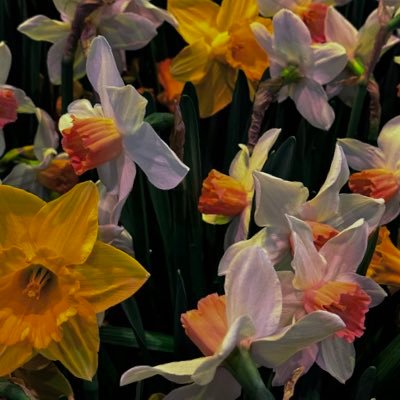 CrispD80's profile picture. 