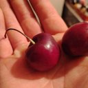 Kristopher Chambers - @Chambers2484 - Twitter