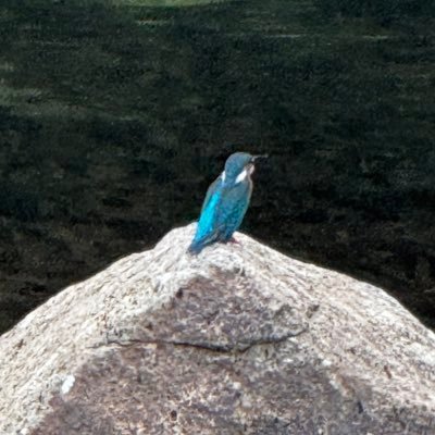 R6Qlbw's profile picture. 