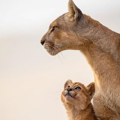 harikabiri68796's profile picture. mükemmel Türk kadını 🇹🇷