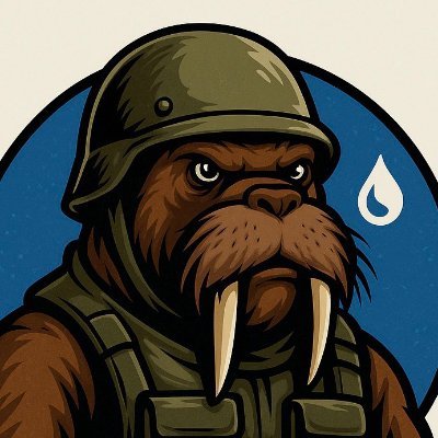 jafardotsui's profile picture. Trader | Investor | Sui Believer