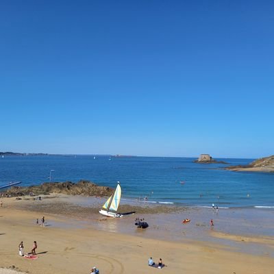 jpb35bedee's profile picture. ni rn mais encore moins lfi.