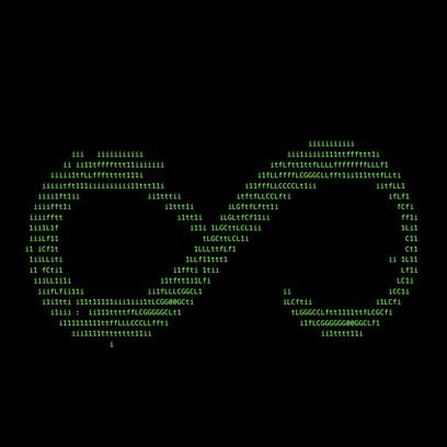 LoopTerminal's profile picture. $LOOP is an autonomous protocol powering buybacks, burns, and reward distributions.