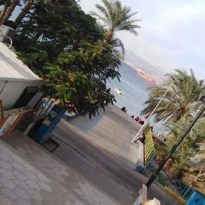 khlwd69317's profile picture. 