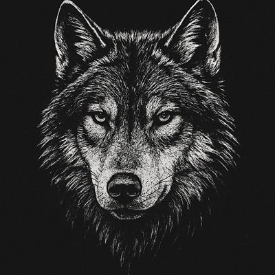 _King_Erudite_'s profile picture. Lonewolf 🐺🐺🐺