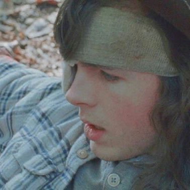 ceganbrainrot's profile picture. carl grimes lover negan smith defender