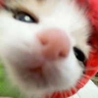 이로 (@nakairo33) 's Twitter Profile Photo