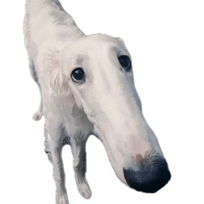 SaturdayTech's profile picture. 