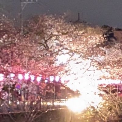 U32uc7C38U1233's profile picture. フォロバ100%です（怪しい垢以外）