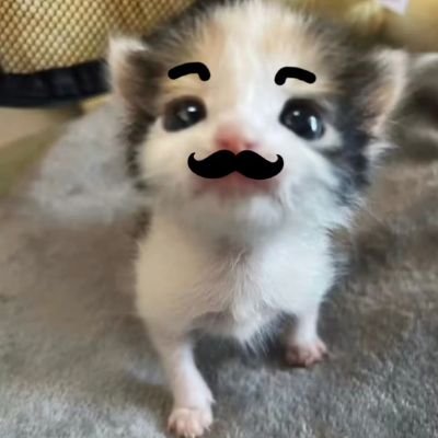 CCoisd's profile picture. 