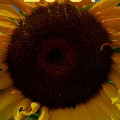 Eddie70954James's profile picture. Katie Katie