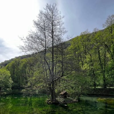 HaticeOkyar1's profile picture. Associate Professor of English Language Teaching🌷Necmettin Erbakan University📚 Hacettepe/Gazi Uni. ELT🌷TESOL