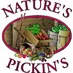 Nature's Pickin's (@naturespickins) Twitter profile photo