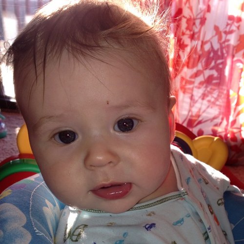 xylemmaster's profile picture. 