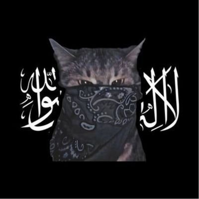 I am new here please take care of me I wanted to become something in the future but Israel would have destroyed everything in my life 💔