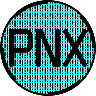 PUNX_2999's profile picture. 