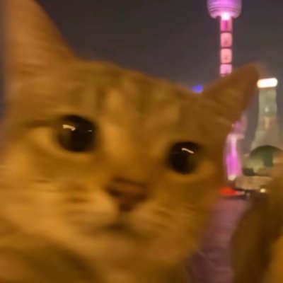 143_ever_yours's profile picture. 