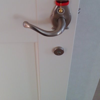 NonnoraD54541's profile picture. 