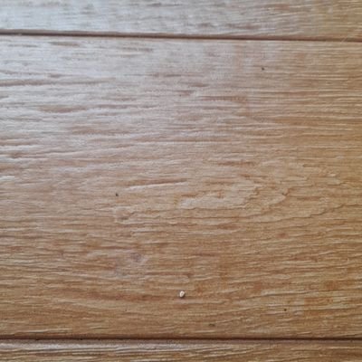 Gimwas_1's profile picture. 