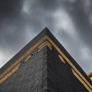 AmineEe1059's profile picture. 