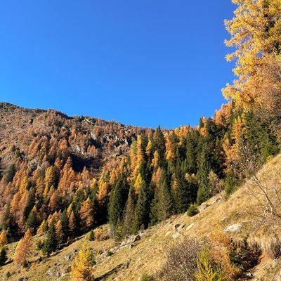 Tracyxxx96's profile picture. 🥶